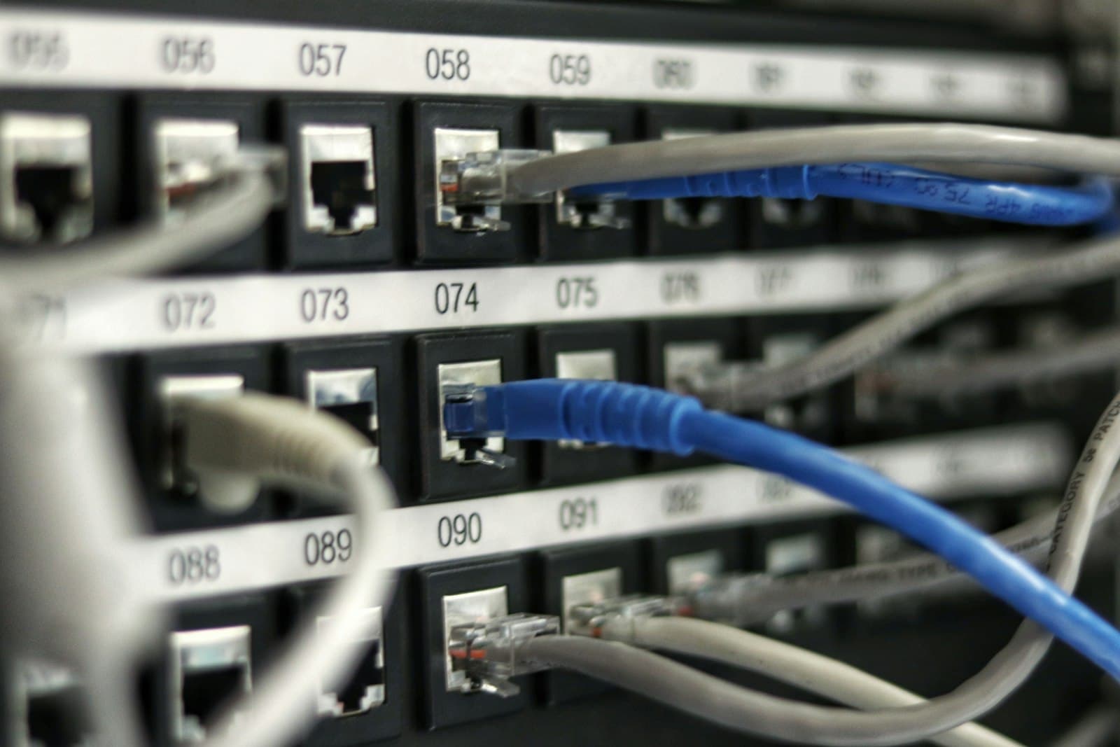 Ethernet cables patched into a numbered network switch
